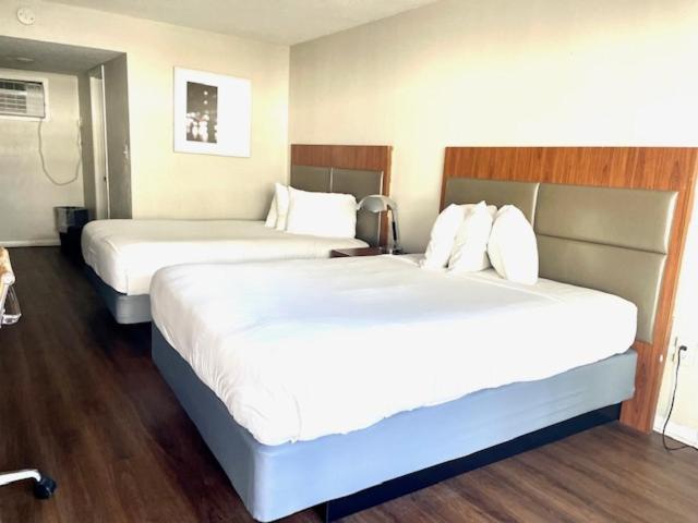 Hotel Mystic Sea à Myrtle Beach Extérieur photo